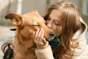Brincadeiras para Estimular o Vínculo entre Tutor e Pet