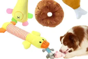 Brinquedos Sonoros e Squeaky Quando e Como Usar