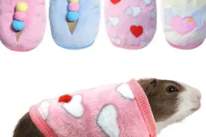 Roupas para Pets Exóticos (Coelhos, Porquinhos-da-índia, Iguanas)