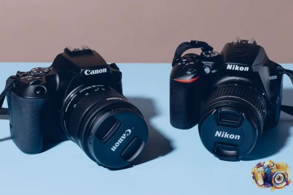 best budget cameras for beginners